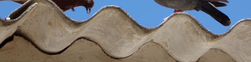 tejado de placas de uralita